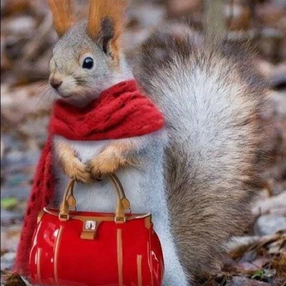 Meet your Posher, Cori